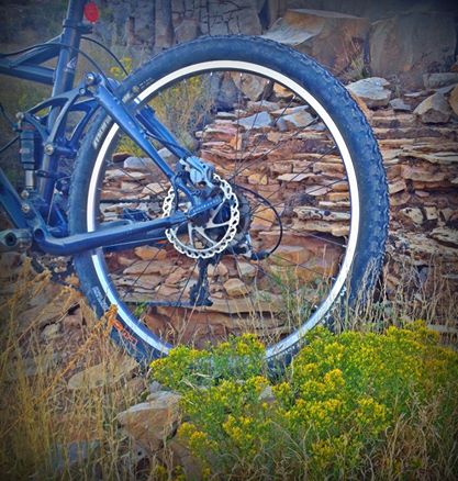 Mt. Bike Wheel