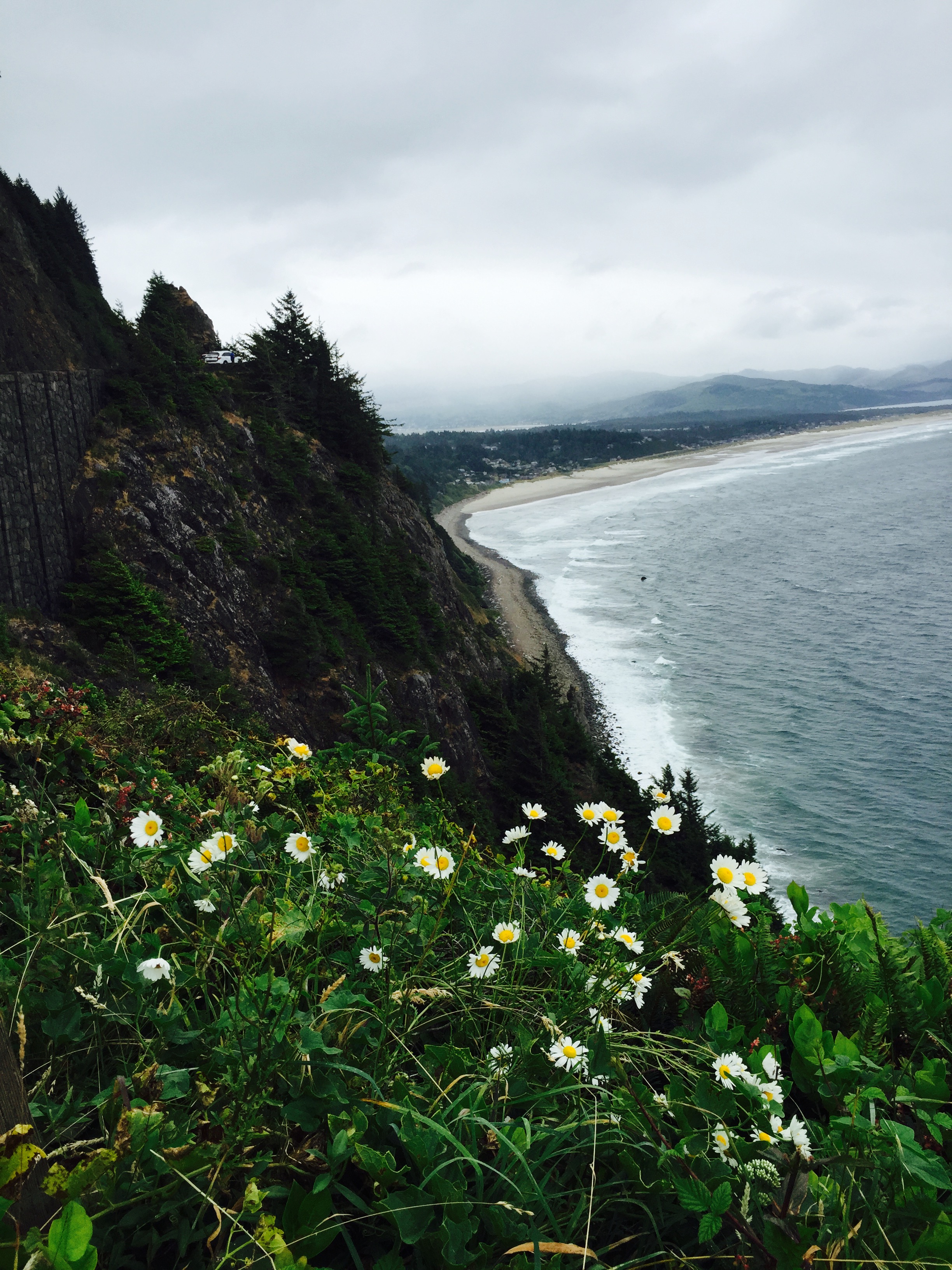 Oregon Coast Scene