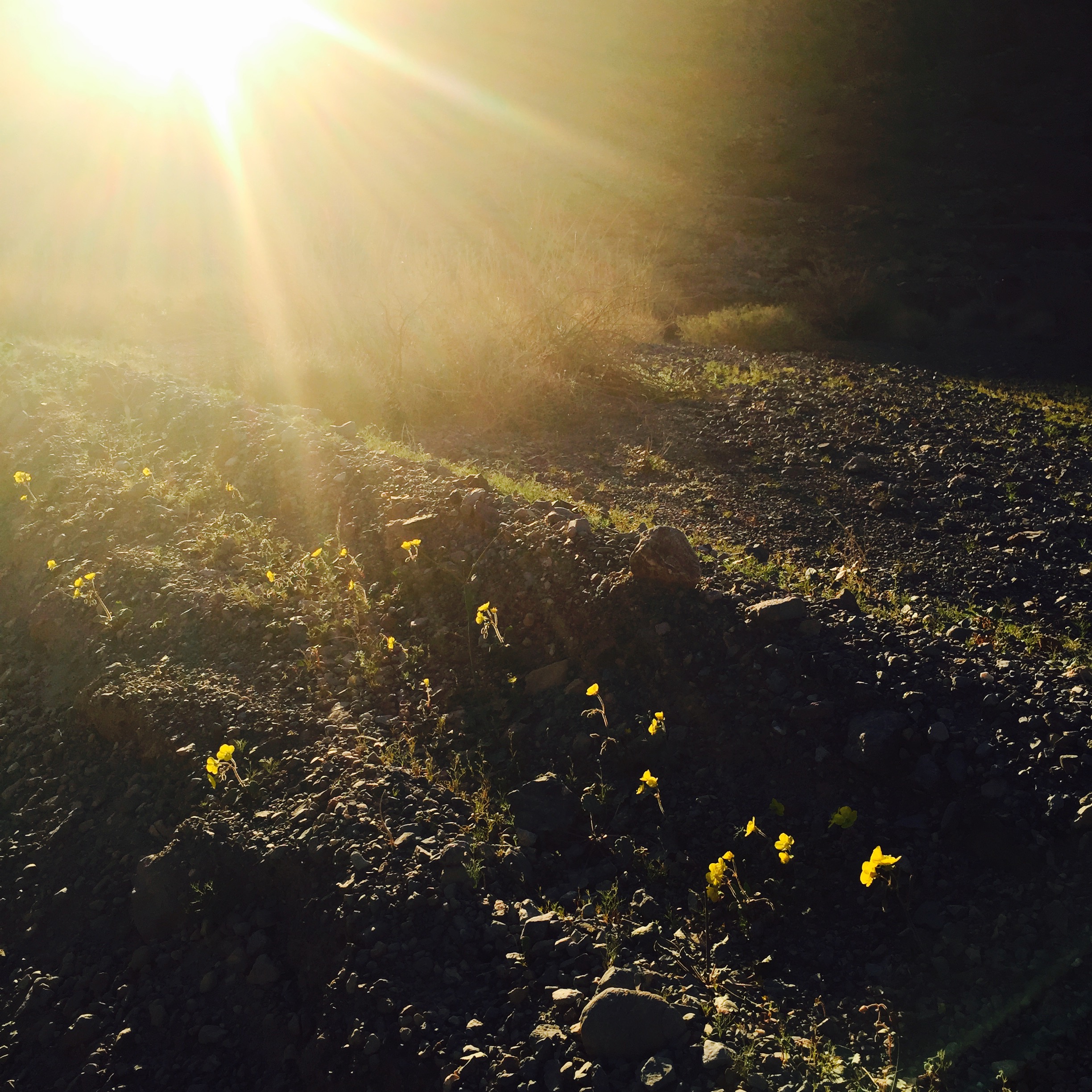 Death Valley at Sunset